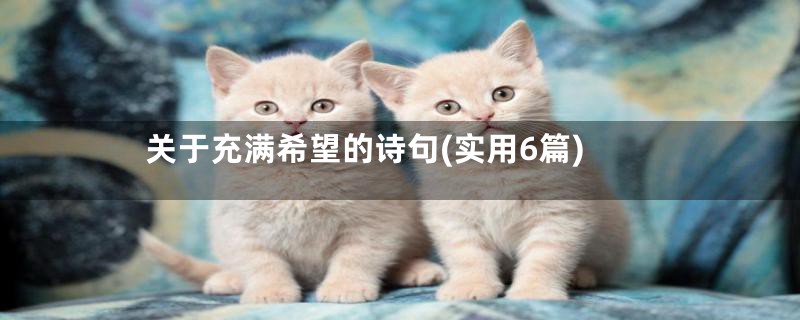 关于充满希望的诗句(实用6篇)