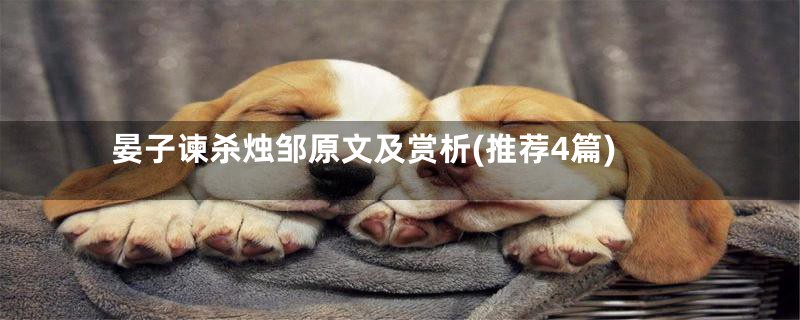 晏子谏杀烛邹原文及赏析(推荐4篇)