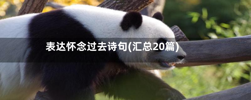 表达怀念过去诗句(汇总20篇)