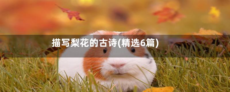 描写梨花的古诗(精选6篇)