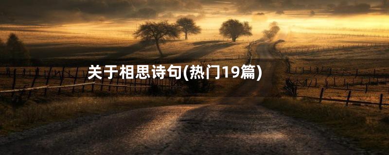 关于相思诗句(热门19篇)