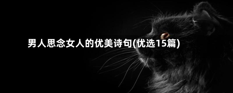 男人思念女人的优美诗句(优选15篇)