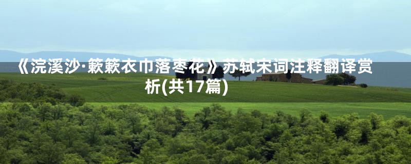 《浣溪沙·簌簌衣巾落枣花》苏轼宋词注释翻译赏析(共17篇)