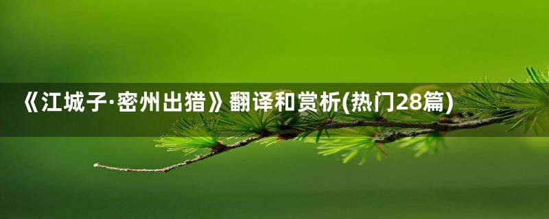 《江城子·密州出猎》翻译和赏析(热门28篇)