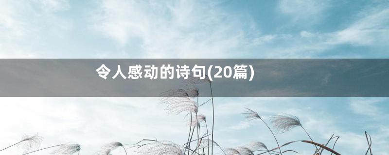 令人感动的诗句(20篇)