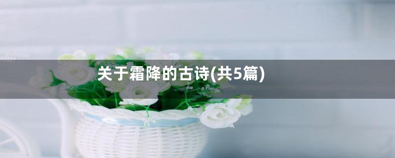 关于霜降的古诗(共5篇)