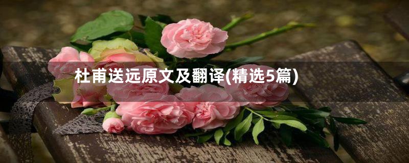 杜甫送远原文及翻译(精选5篇)