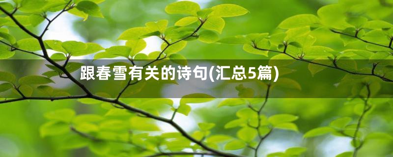 跟春雪有关的诗句(汇总5篇)