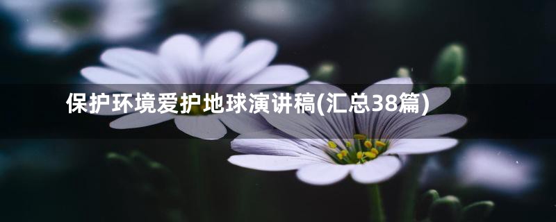 保护环境爱护地球演讲稿(汇总38篇)
