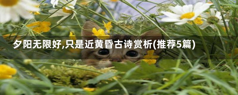 夕阳无限好,只是近黄昏古诗赏析(推荐5篇)