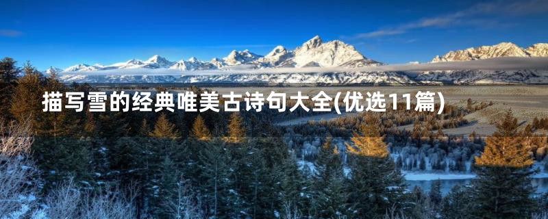 描写雪的经典唯美古诗句大全(优选11篇)