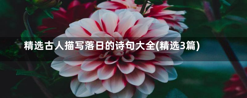 精选古人描写落日的诗句大全(精选3篇)
