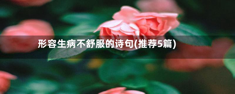 形容生病不舒服的诗句(推荐5篇)