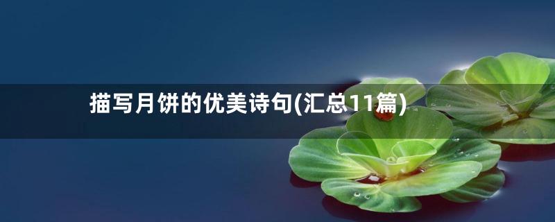 描写月饼的优美诗句(汇总11篇)