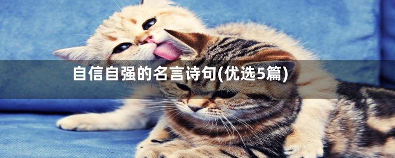 自信自强的名言诗句(优选5篇)