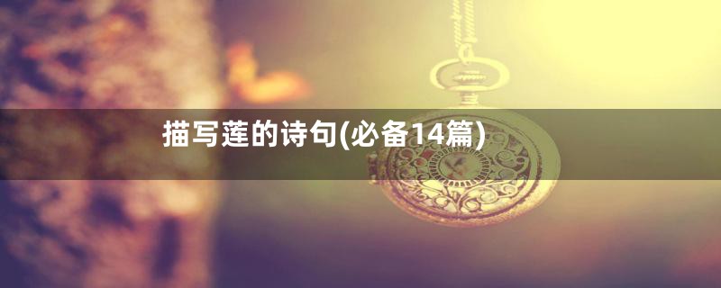 描写莲的诗句(必备14篇)