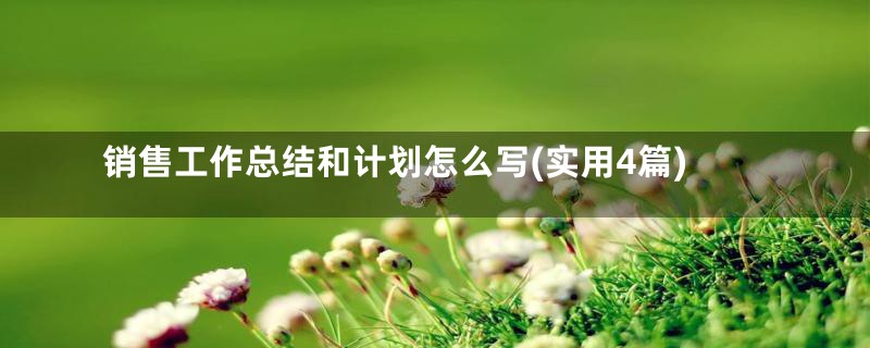 销售工作总结和计划怎么写(实用4篇)