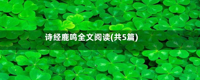 诗经鹿鸣全文阅读(共5篇)