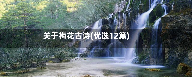 关于梅花古诗(优选12篇)