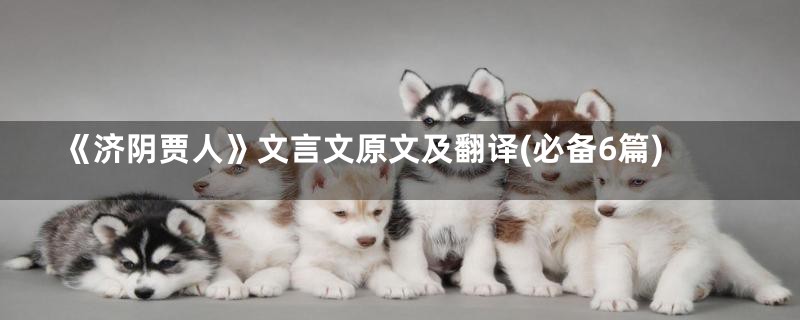 《济阴贾人》文言文原文及翻译(必备6篇)