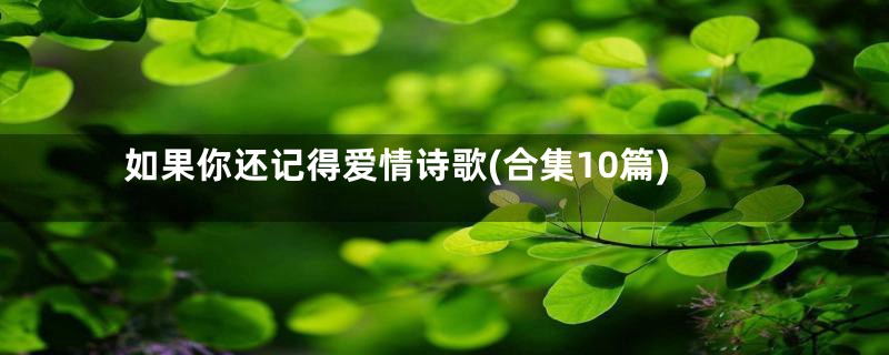 如果你还记得爱情诗歌(合集10篇)