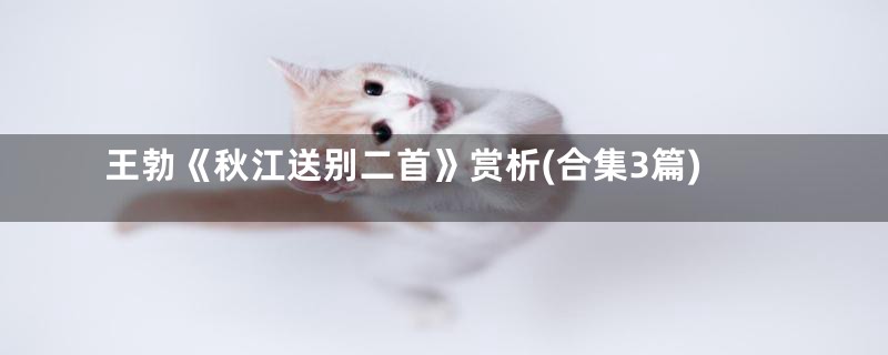 王勃《秋江送别二首》赏析(合集3篇)