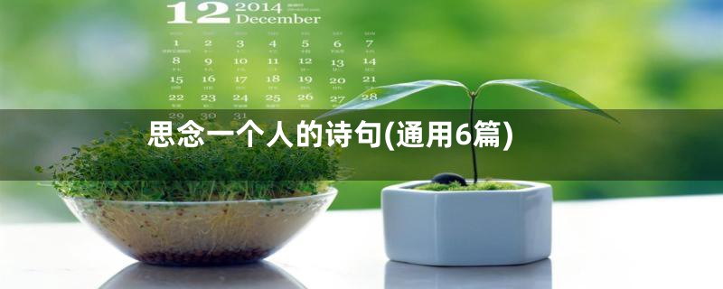 思念一个人的诗句(通用6篇)