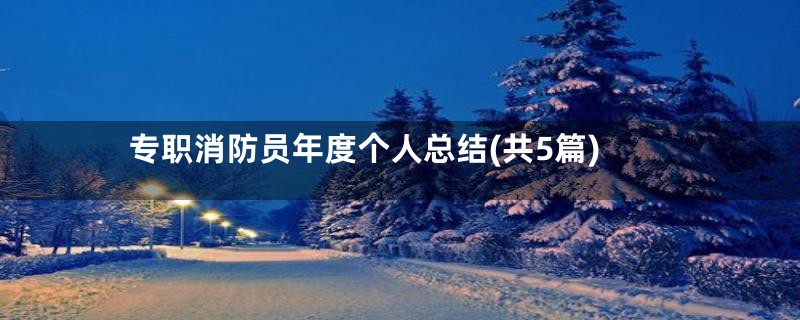 专职消防员年度个人总结(共5篇)