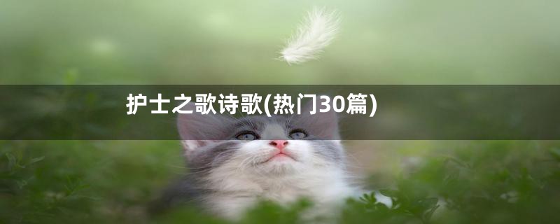 护士之歌诗歌(热门30篇)