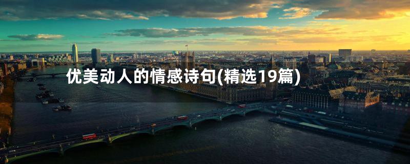 优美动人的情感诗句(精选19篇)