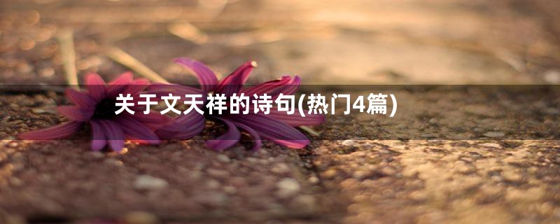 关于文天祥的诗句(热门4篇)