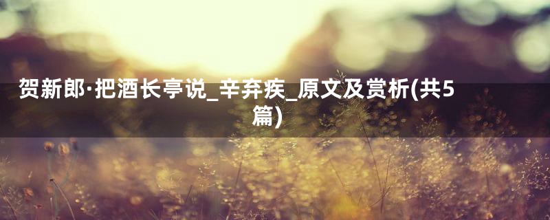 贺新郎·把酒长亭说_辛弃疾_原文及赏析(共5篇)