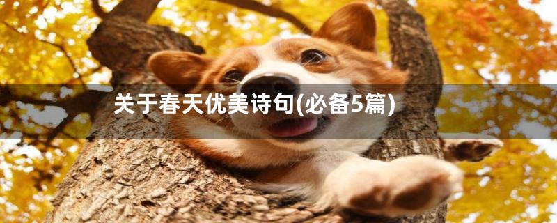 关于春天优美诗句(必备5篇)