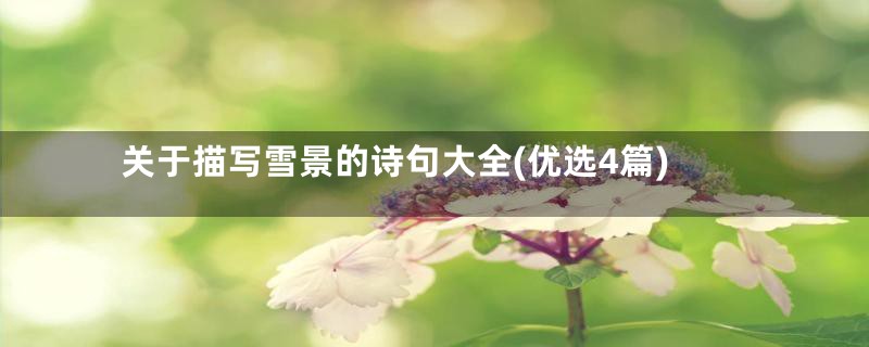 关于描写雪景的诗句大全(优选4篇)