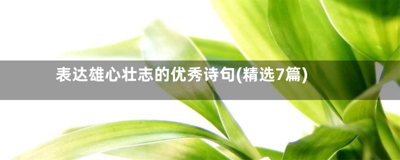 表达雄心壮志的优秀诗句(精选7篇)