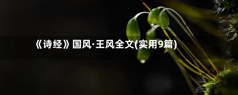 《诗经》国风·王风全文(实用9篇)