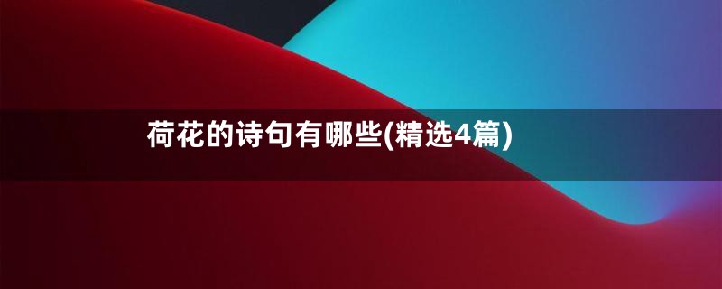 荷花的诗句有哪些(精选4篇)
