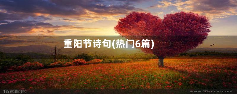 重阳节诗句(热门6篇)
