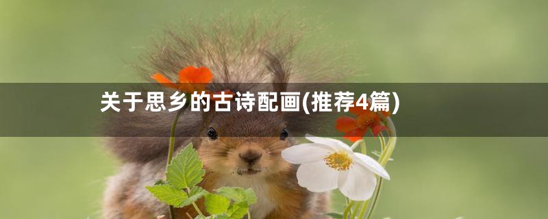 关于思乡的古诗配画(推荐4篇)