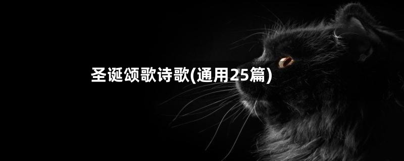 圣诞颂歌诗歌(通用25篇)