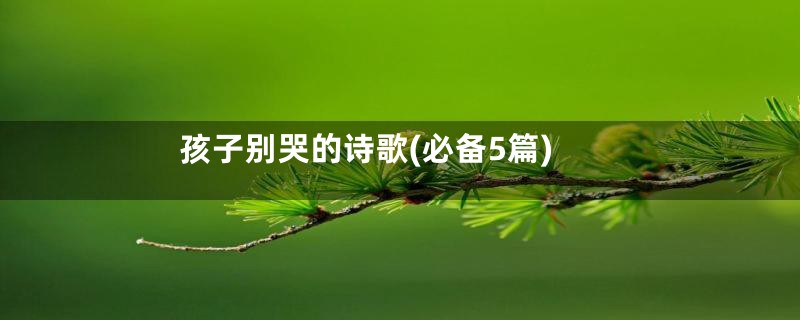 孩子别哭的诗歌(必备5篇)