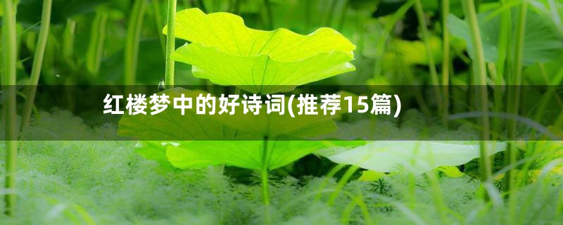 红楼梦中的好诗词(推荐15篇)