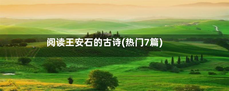 阅读王安石的古诗(热门7篇)