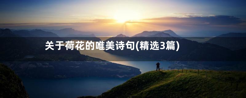 关于荷花的唯美诗句(精选3篇)