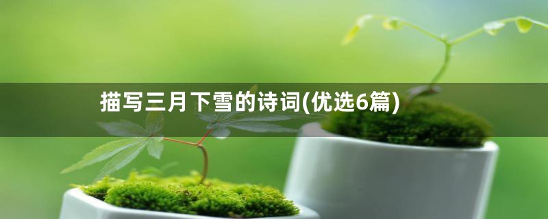描写三月下雪的诗词(优选6篇)