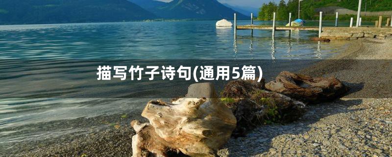 描写竹子诗句(通用5篇)