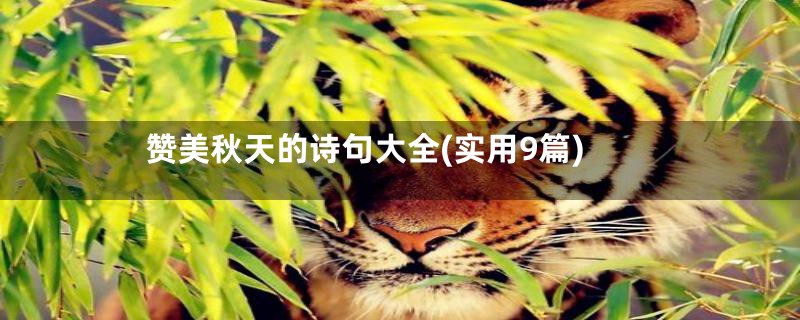 赞美秋天的诗句大全(实用9篇)