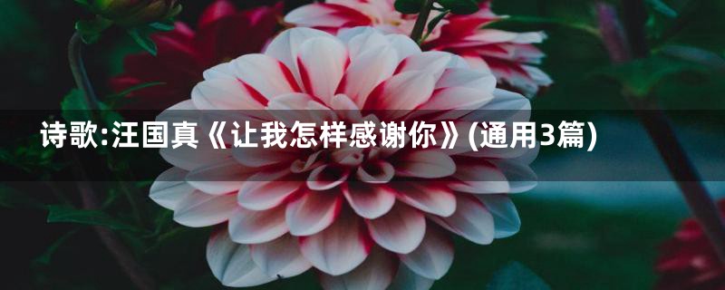 诗歌:汪国真《让我怎样感谢你》(通用3篇)