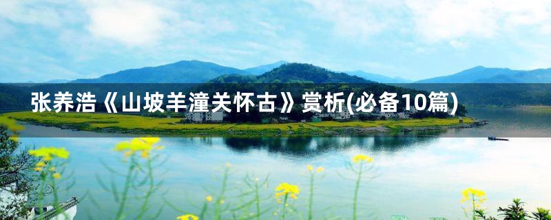 张养浩《山坡羊潼关怀古》赏析(必备10篇)