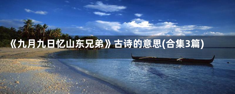 《九月九日忆山东兄弟》古诗的意思(合集3篇)